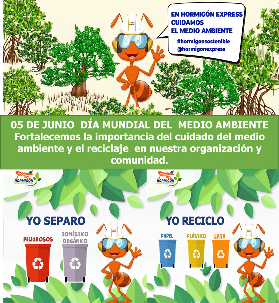 DÍA MUNDIAL DEL  MEDIO AMBIENTE